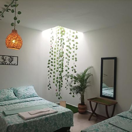 Cafe Hotel Boutique Kjtagua Сан Хил Екстериор снимка